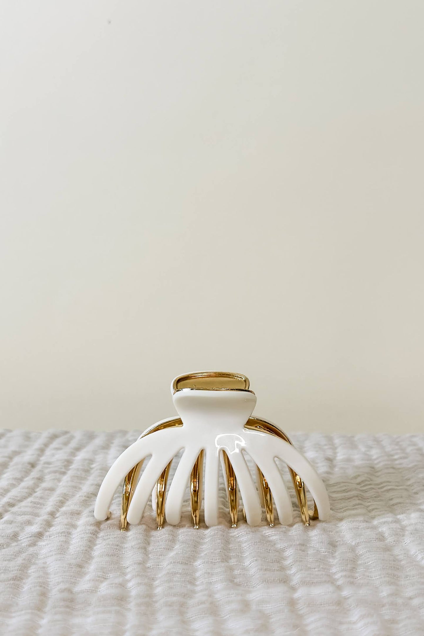 The Polished Clip Collection