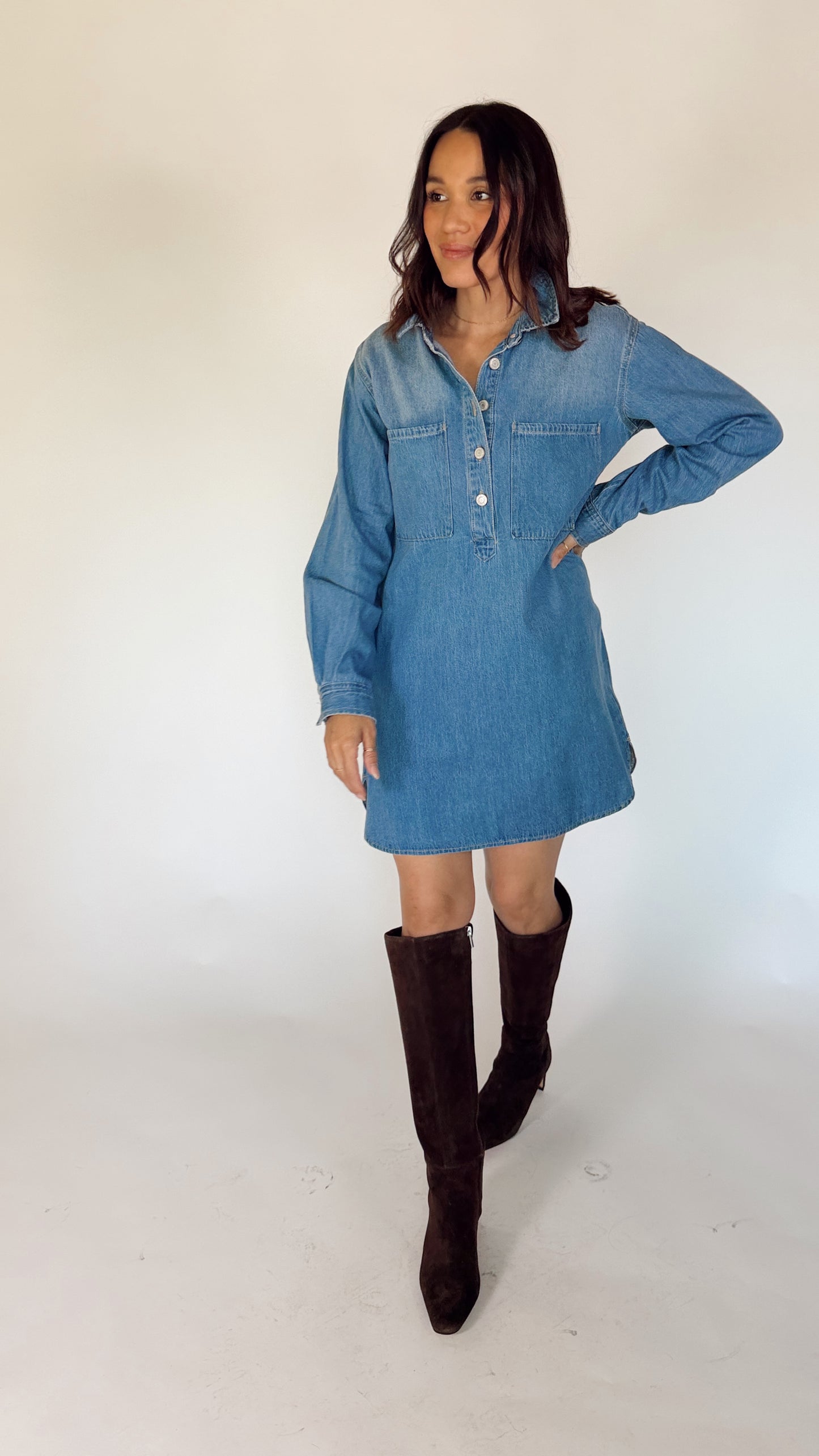 Essential Denim shirt Dress