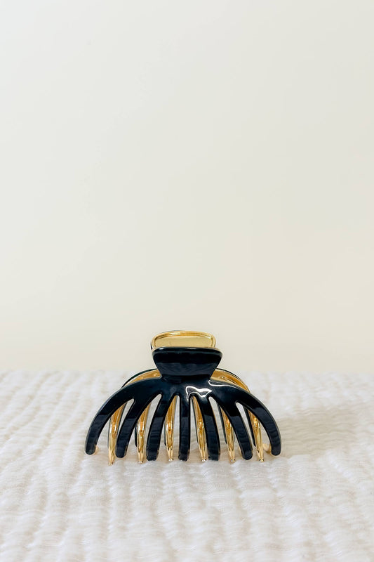 The Polished Clip Collection