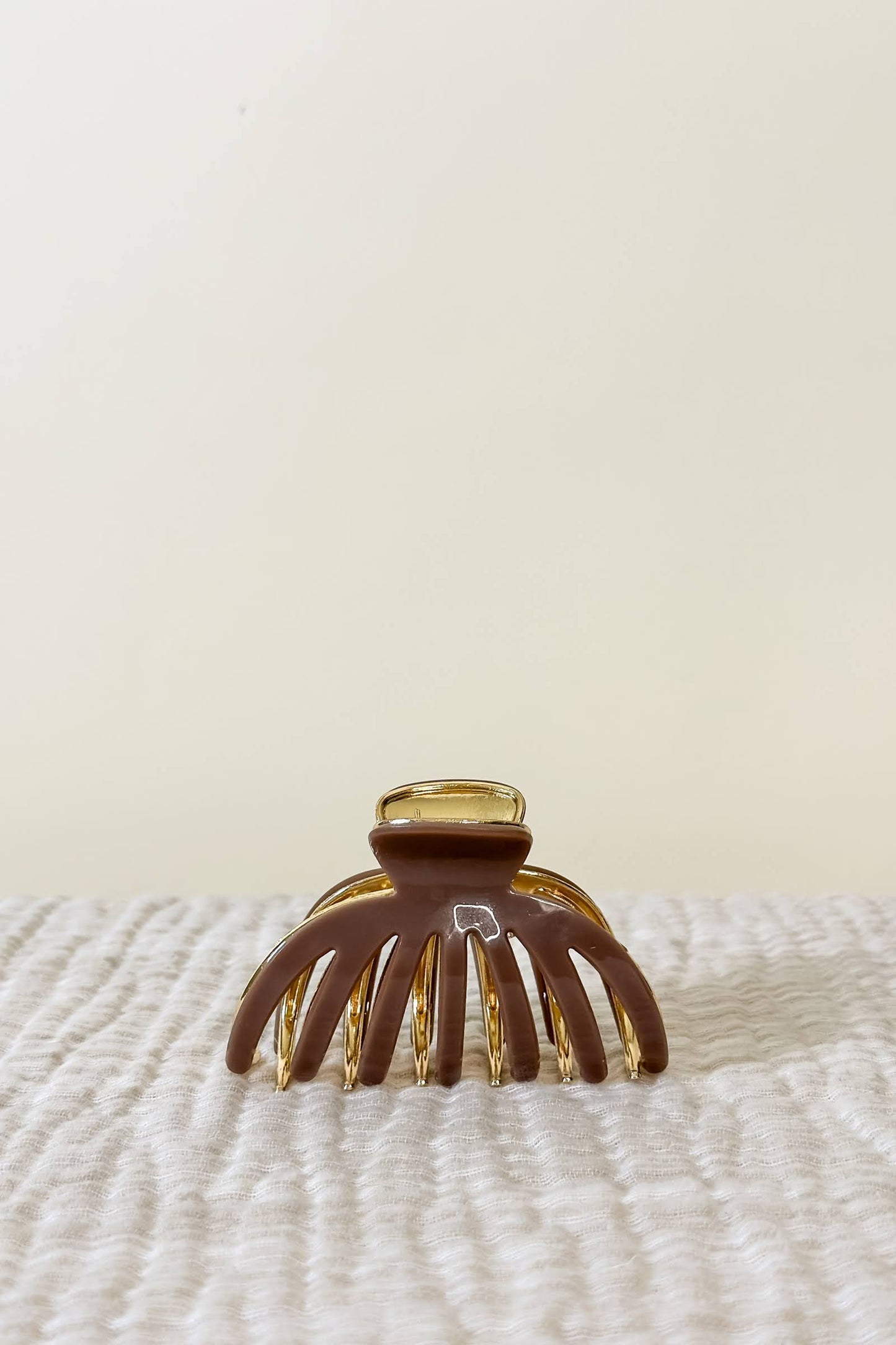 The Polished Clip Collection