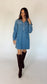 Essential Denim shirt Dress